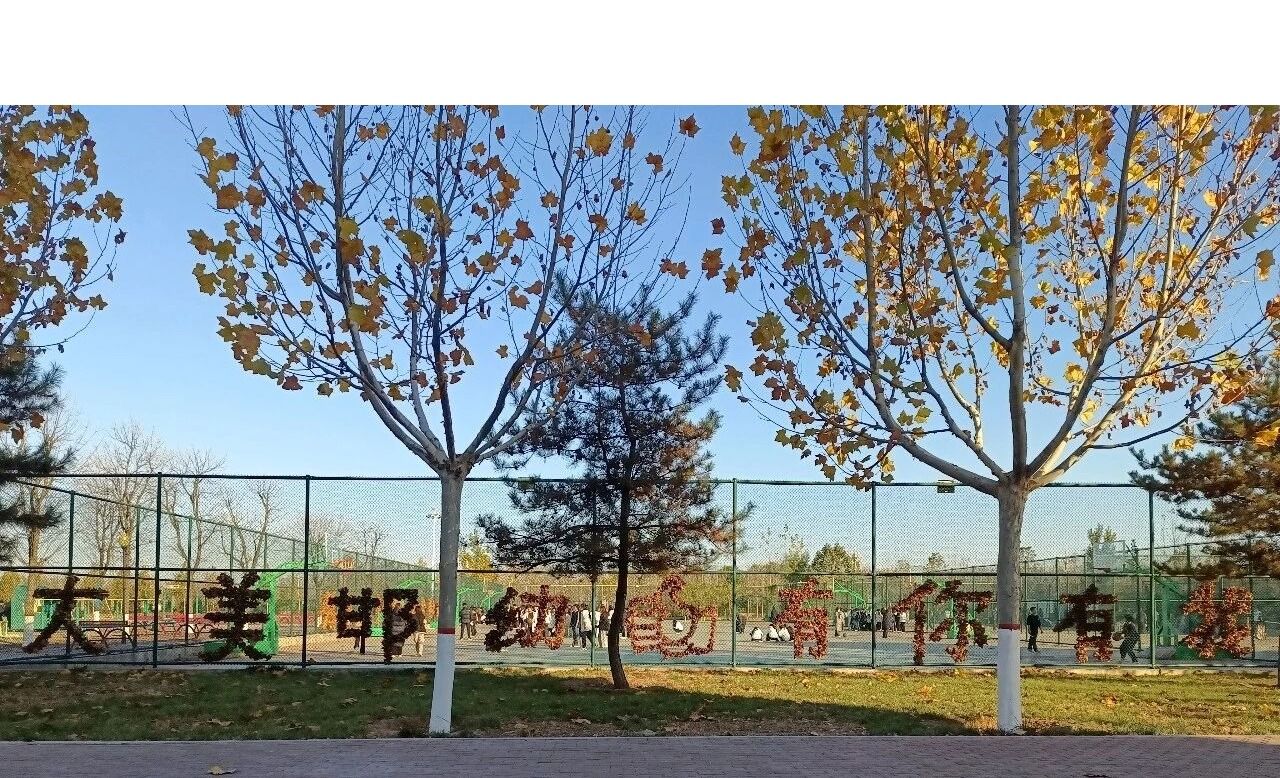 校园风貌